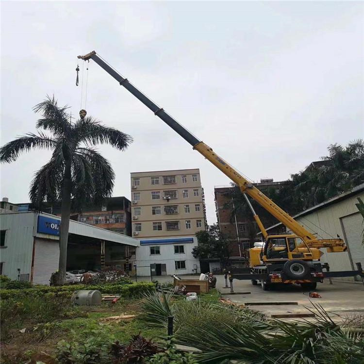 金水汽车吊出租多少钱？全面解析与市场行情